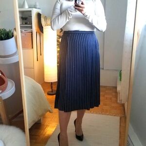 Aritzia Babaton skirt